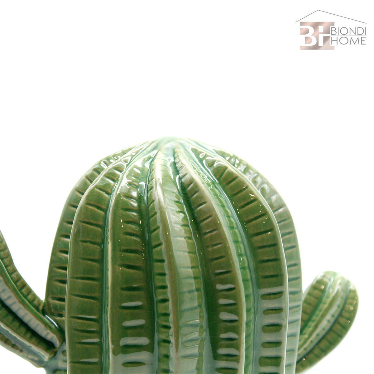 "CACTUS TRIPLO” - BIONDI HOME
