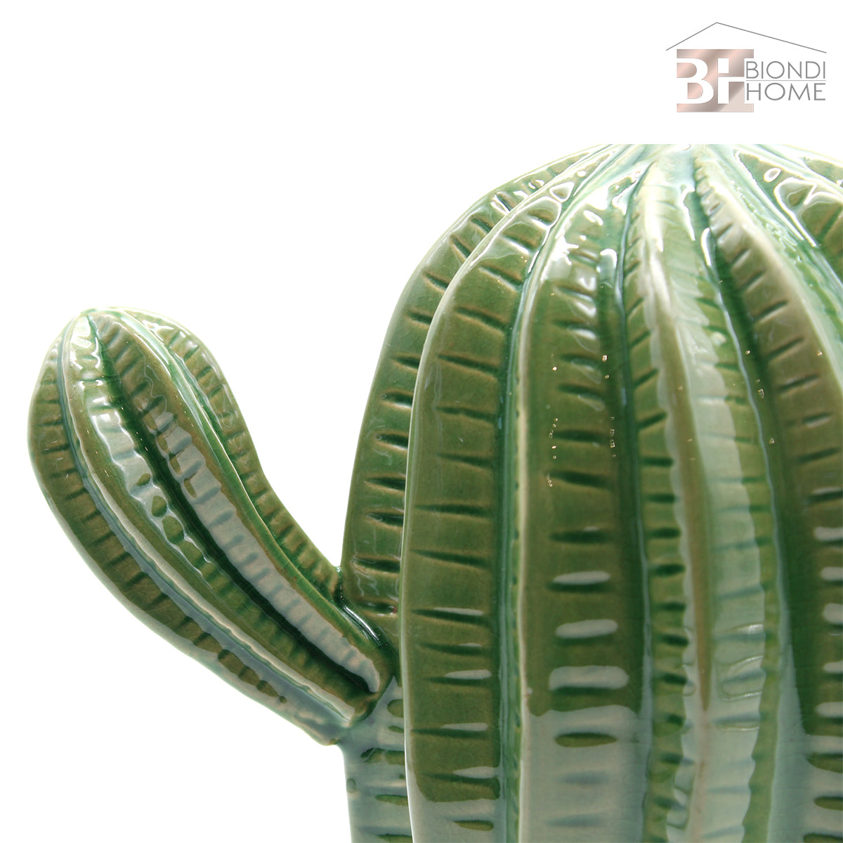 "CACTUS TRIPLO” - BIONDI HOME