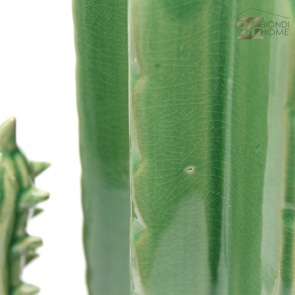 “BIG CACTUS” - BIONDI HOME