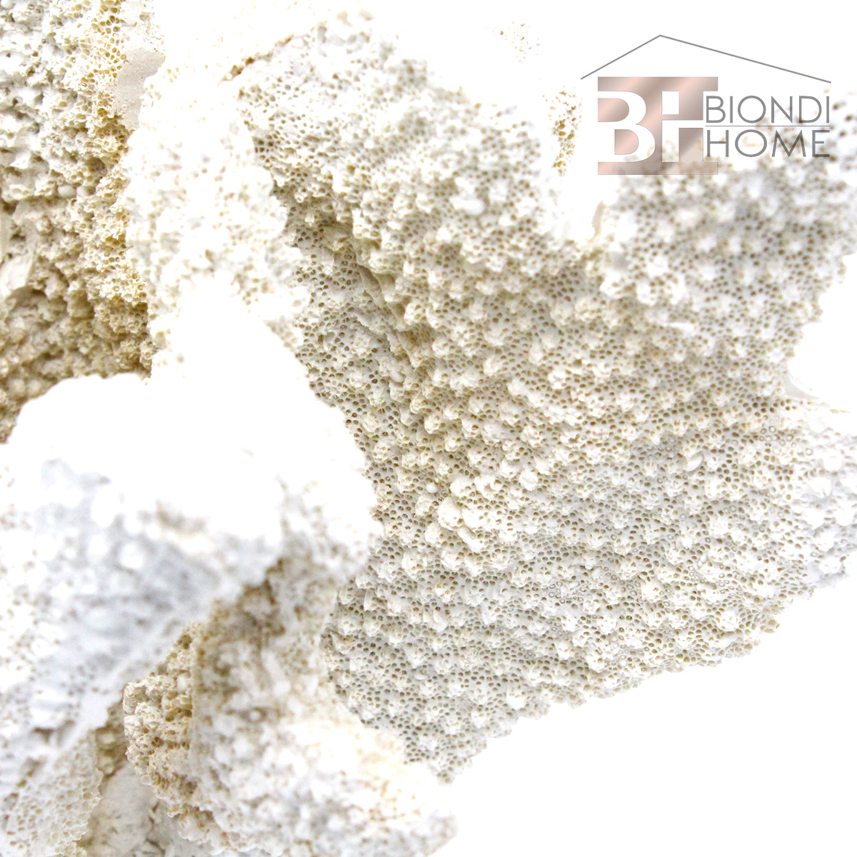 Portacandela “CORAL” - BIONDI HOME