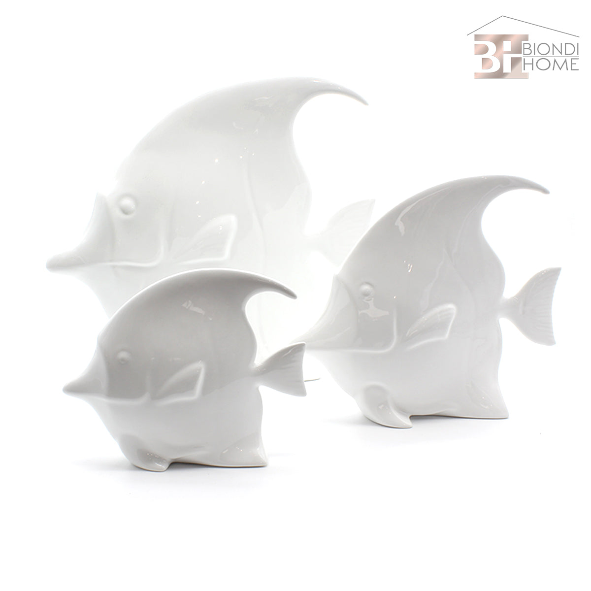 “PESCE DISCUS” - BIONDI HOME