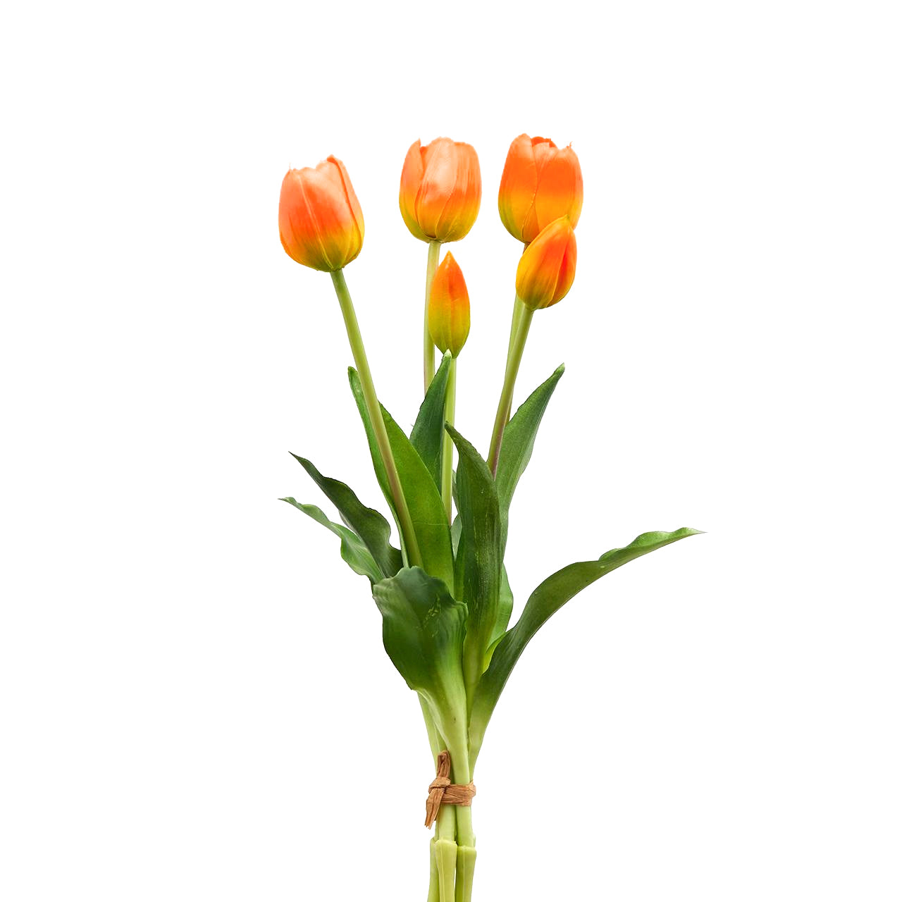 Mazzo “TULIPANI” - BIONDI HOME