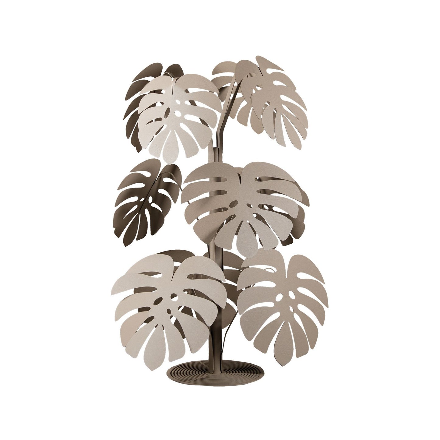 Pianta “MONSTERA” - BIONDI HOME