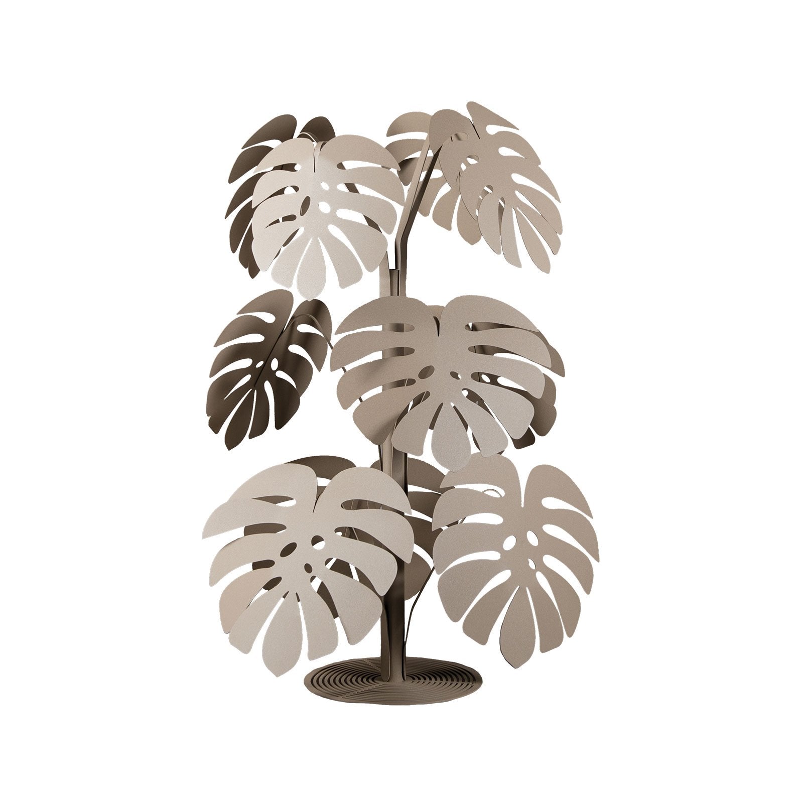 Pianta “MONSTERA” - BIONDI HOME