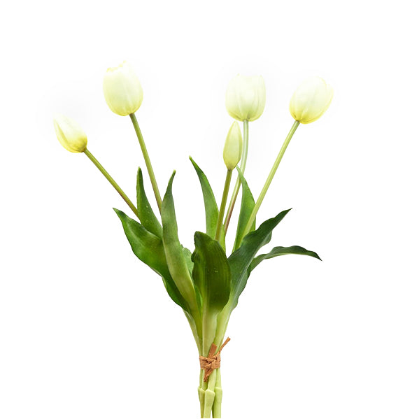 Mazzo “TULIPANI” - BIONDI HOME