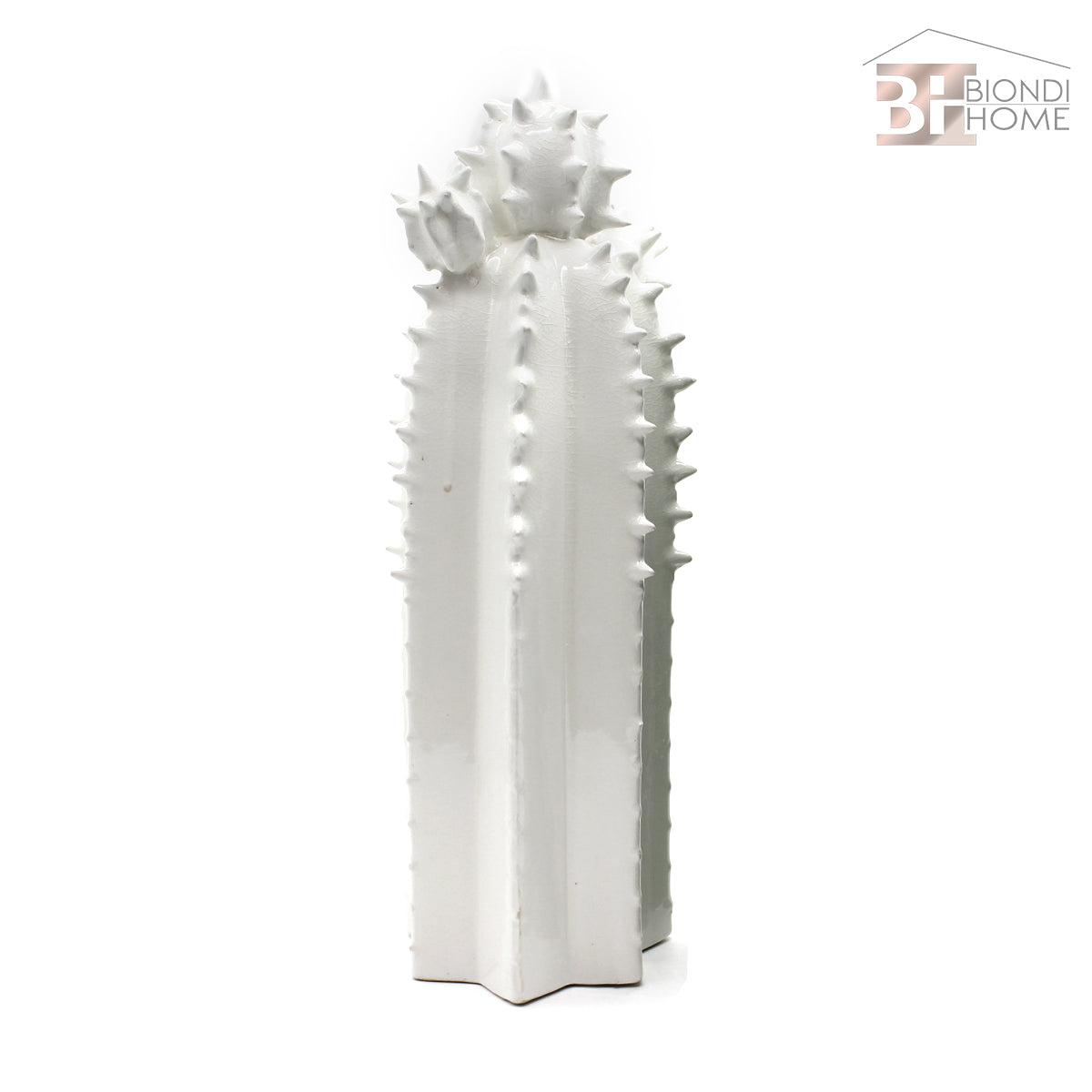 “CACTUS SPINOSO” - BIONDI HOME