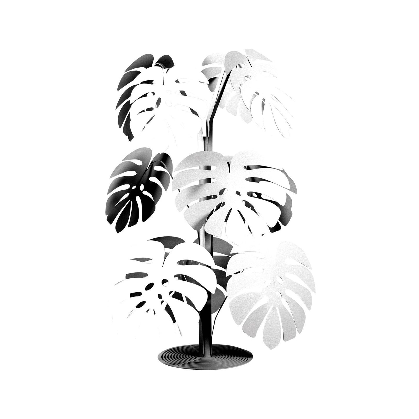 Pianta “MONSTERA” - BIONDI HOME