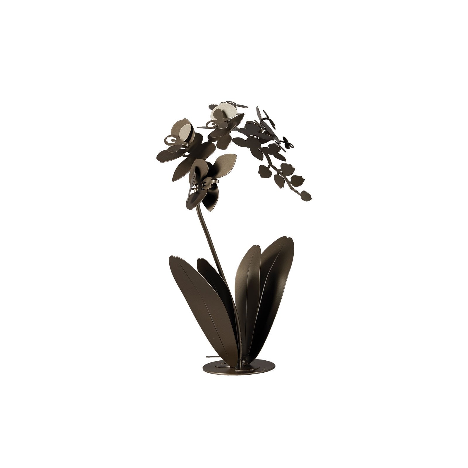 Pianta “ORCHIDEA” - BIONDI HOME