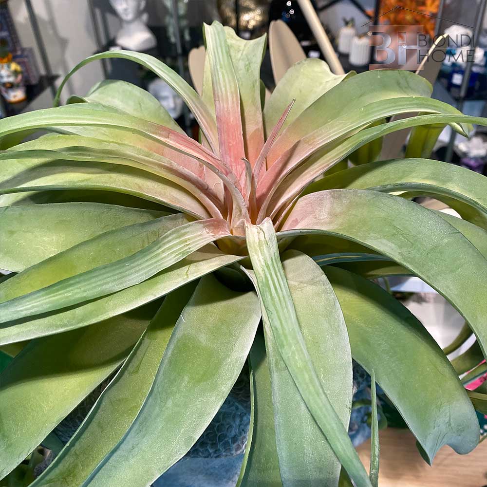Pianta “SUCCULENT GRANDE”