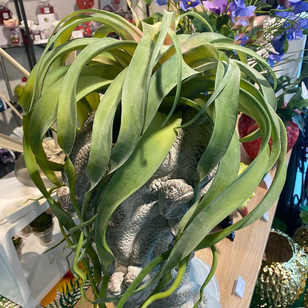 Pianta “SUCCULENT GRANDE”