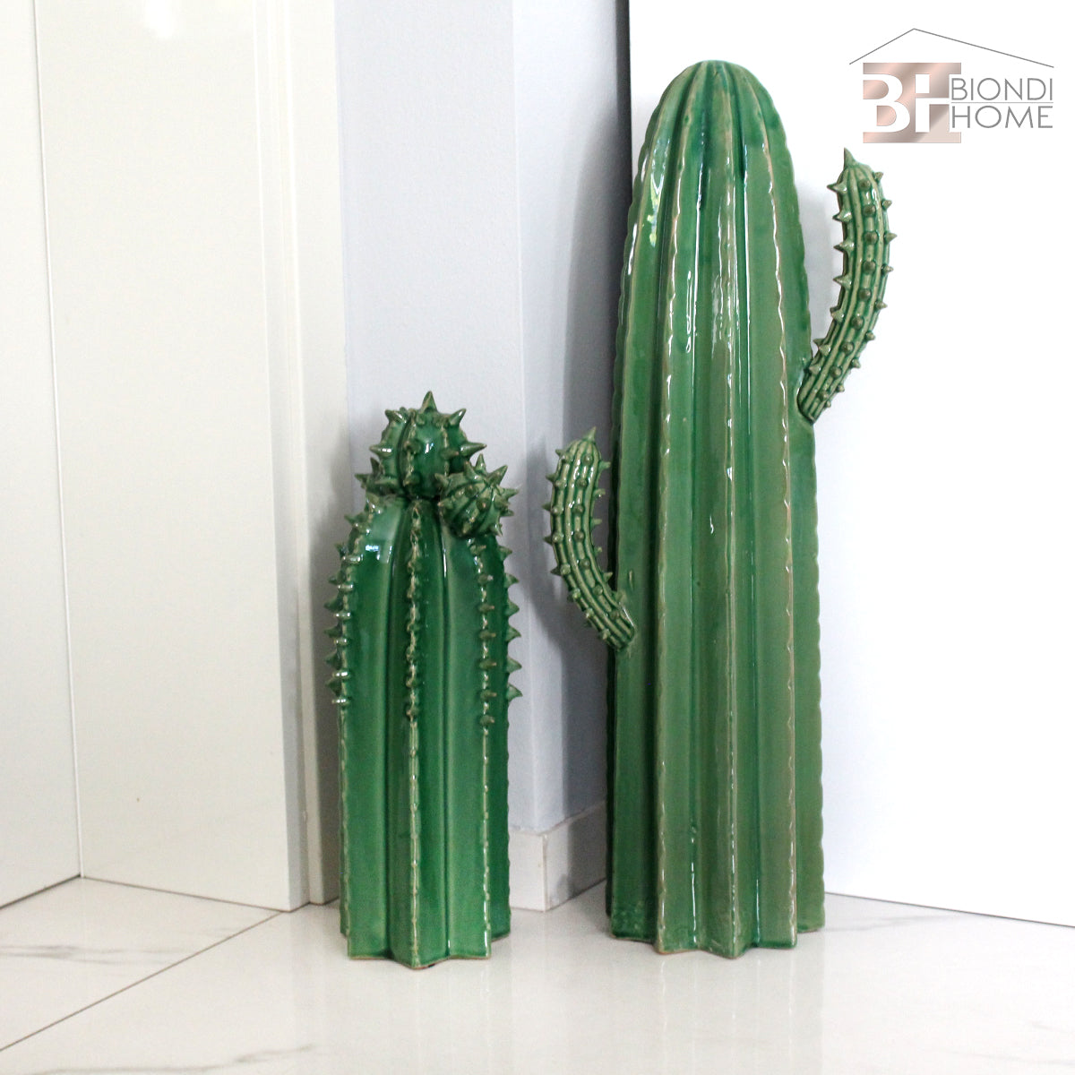 “CACTUS SPINOSO” - BIONDI HOME