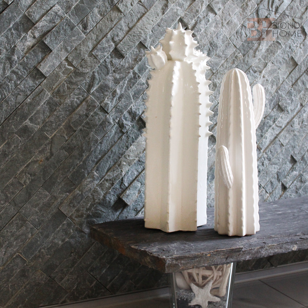 “CACTUS SPINOSO” - BIONDI HOME