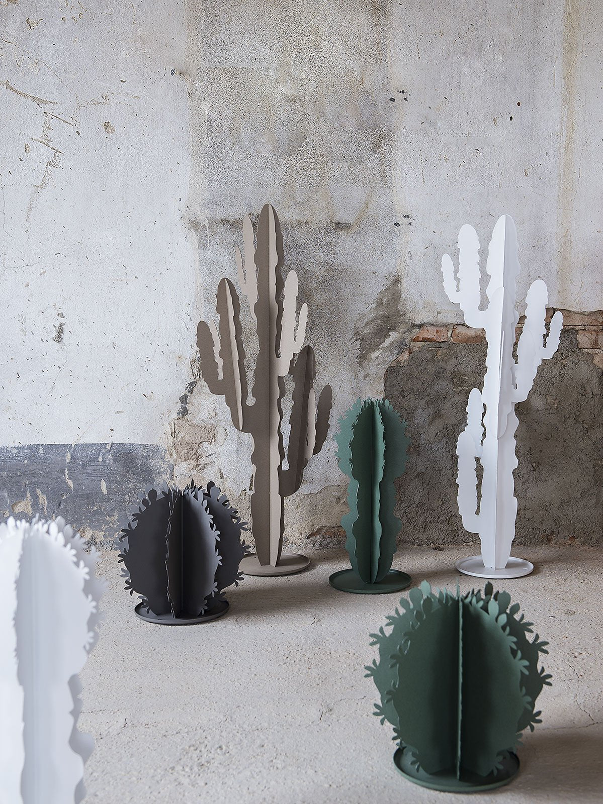 Pianta “CACTUS” - BIONDI HOME