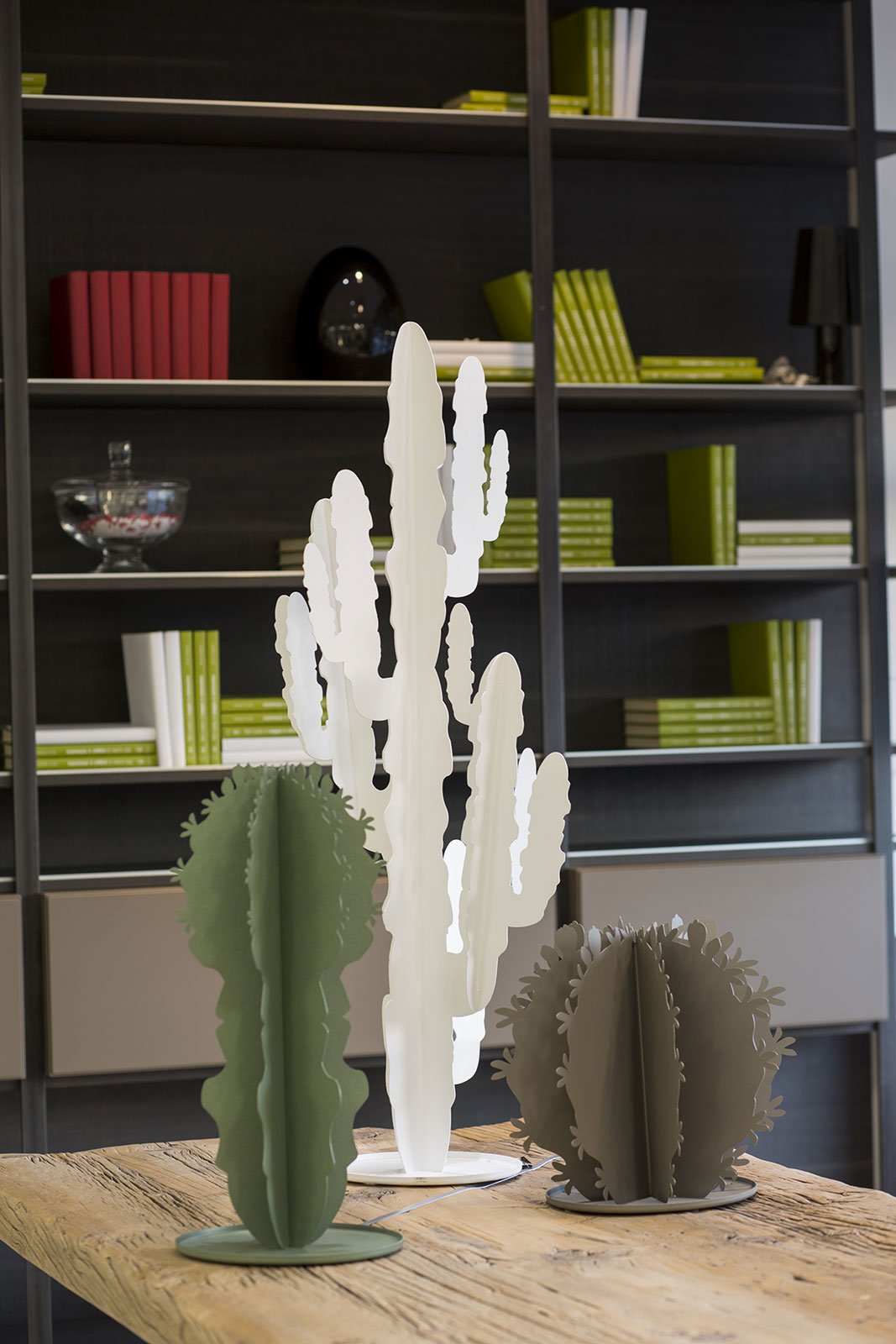 Pianta “CACTUS” - BIONDI HOME
