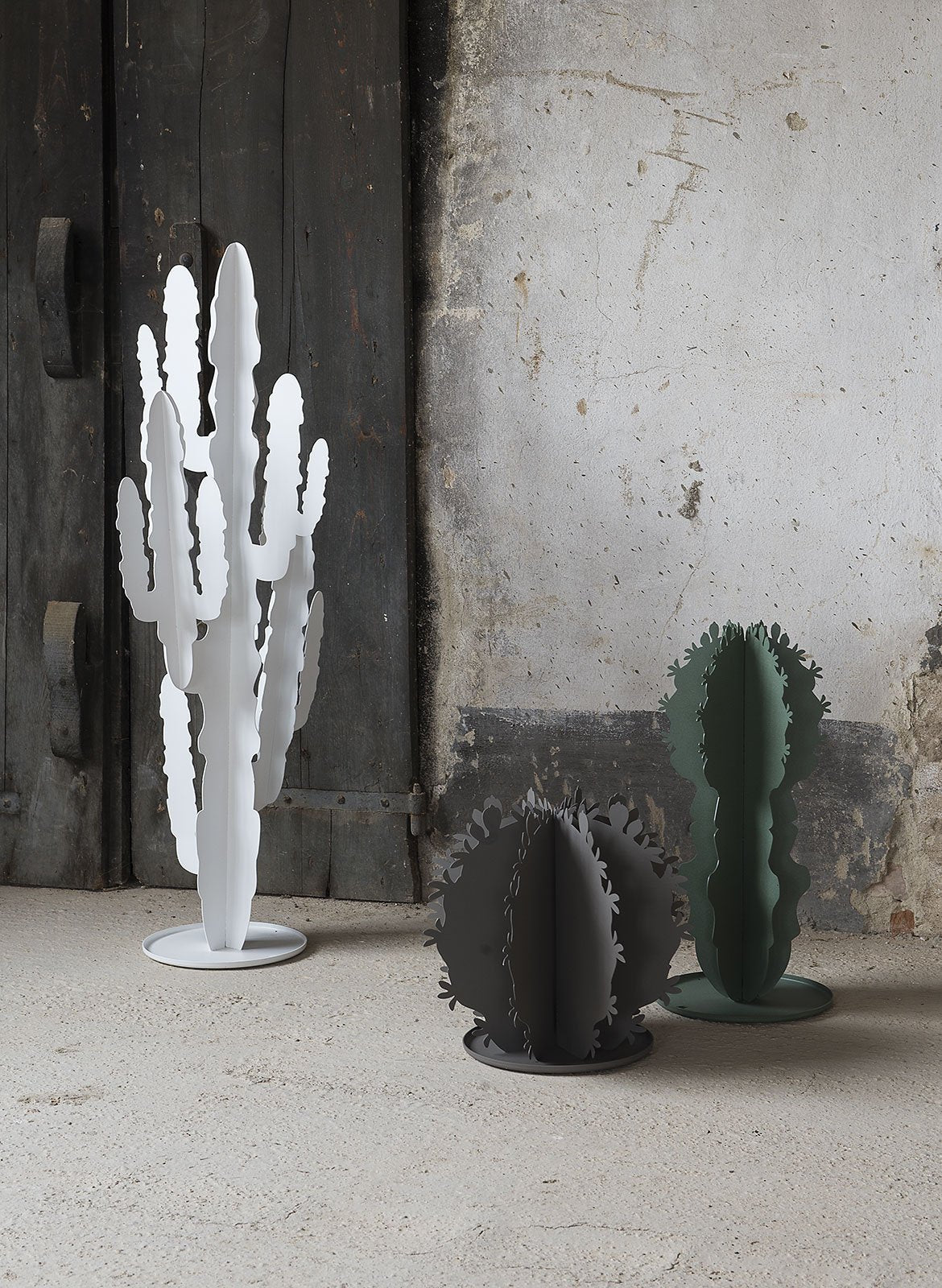 Pianta “CACTUS” - BIONDI HOME