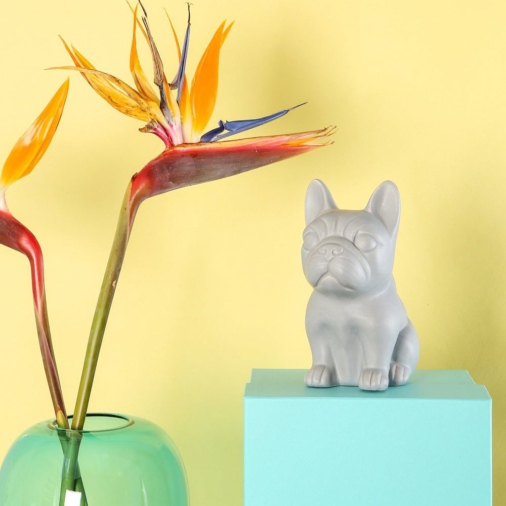 “BULLDOG” - BIONDI HOME