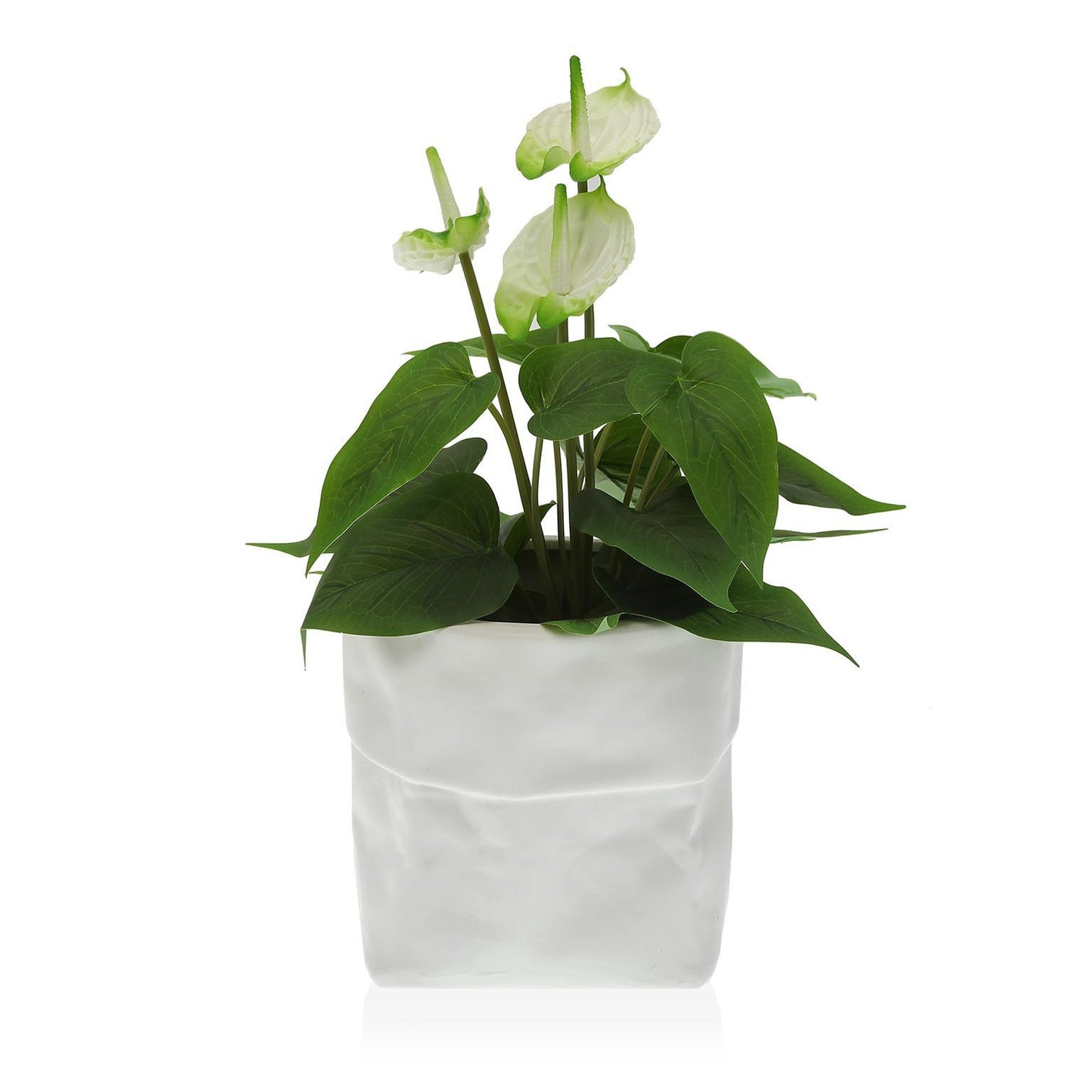 Vaso “SACCO”