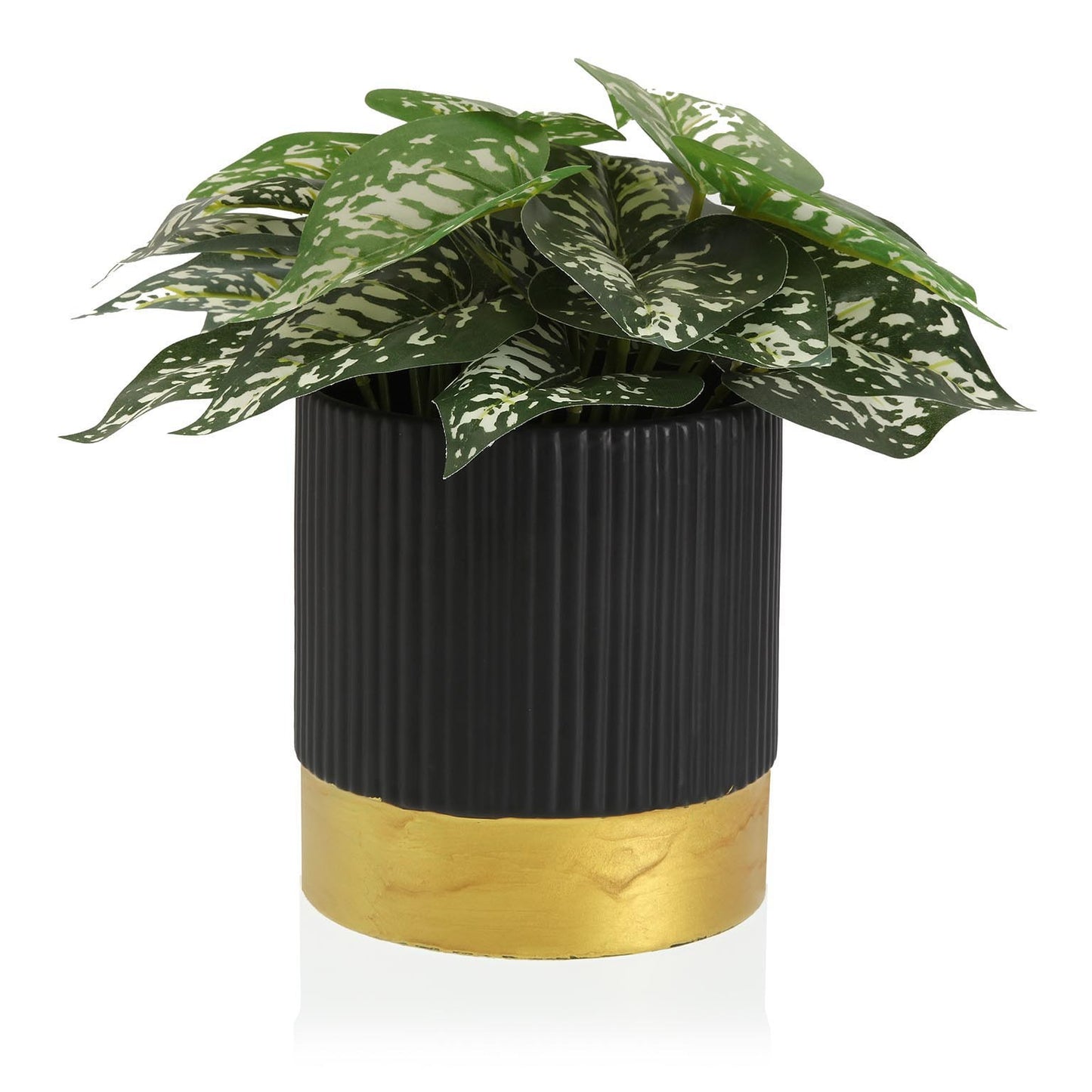 Vaso “EGY"