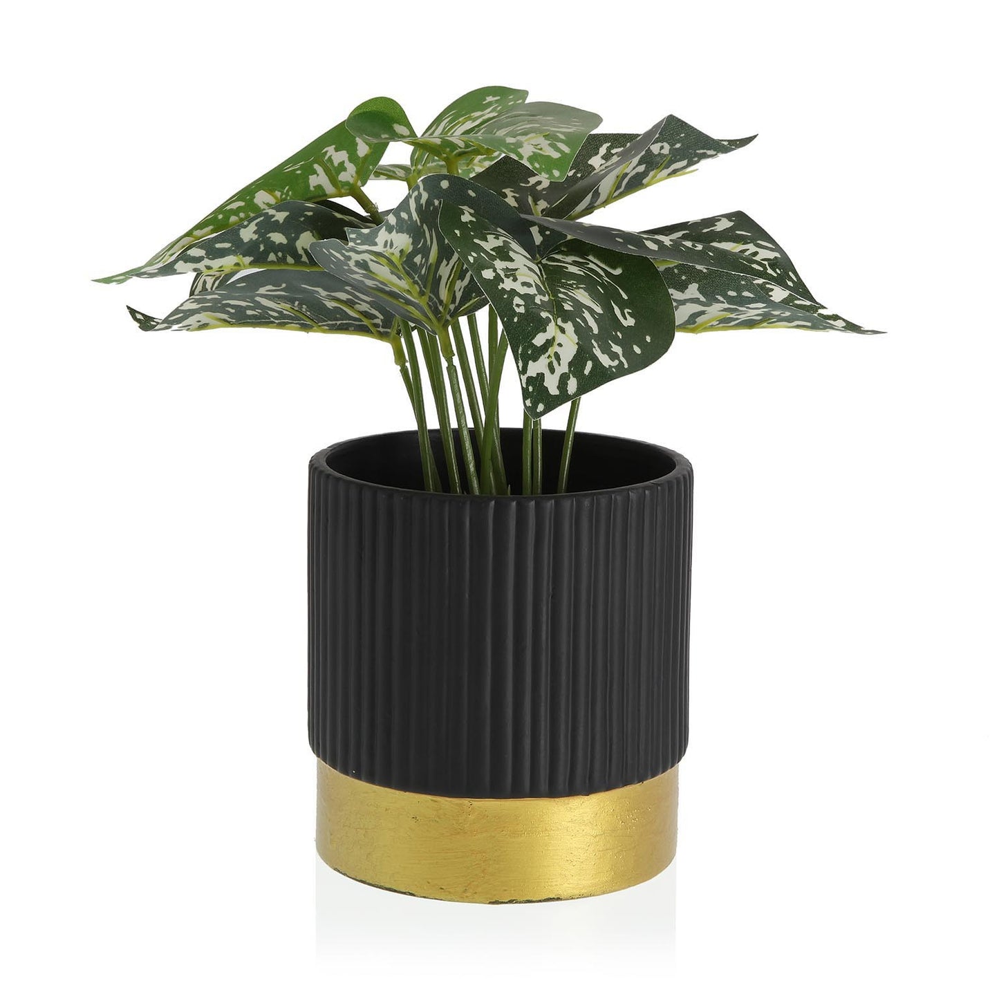 Vaso “EGY"