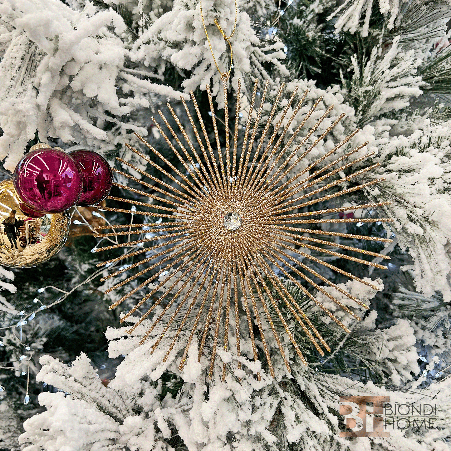 Decoro “RAGGI"