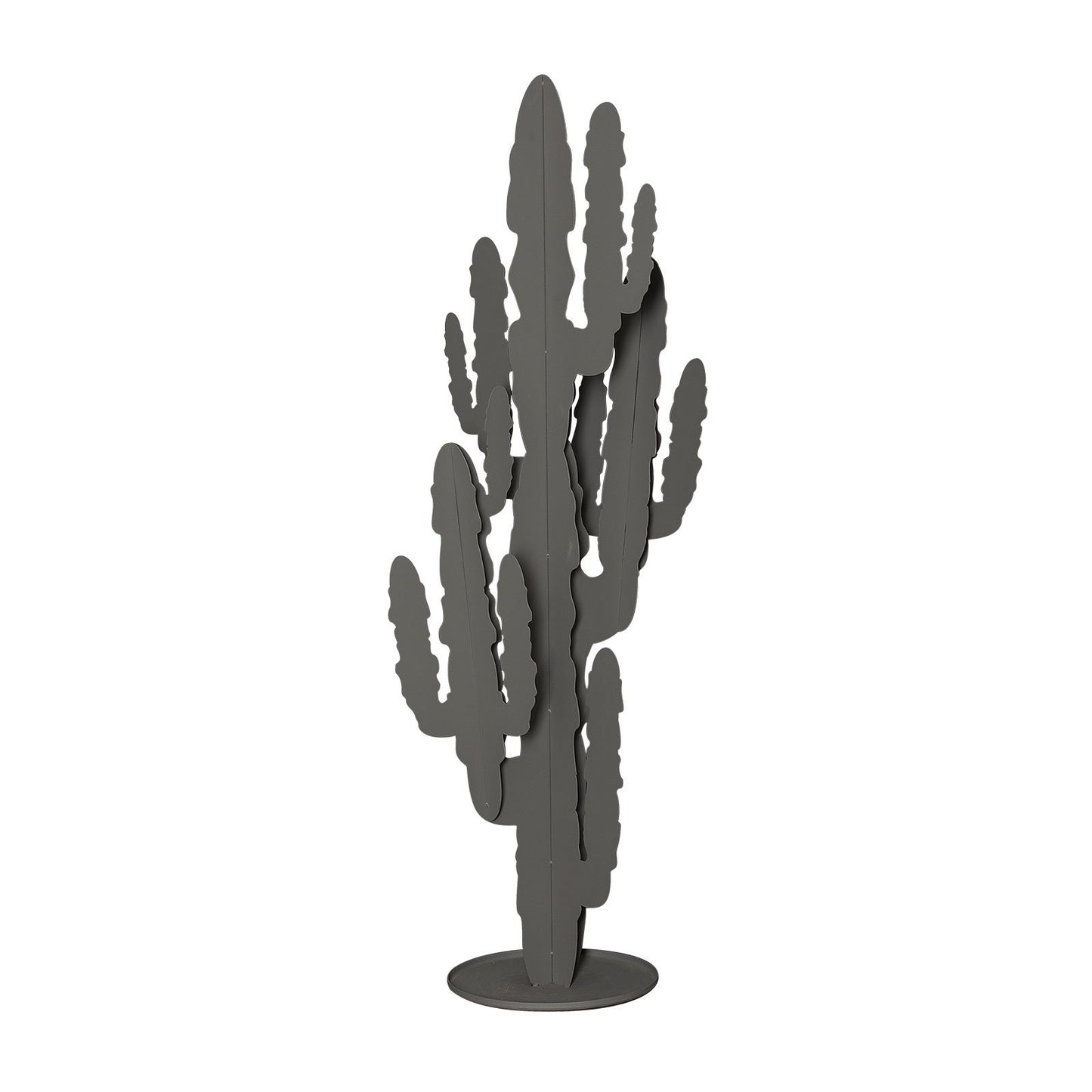 Pianta “CACTUS” - BIONDI HOME