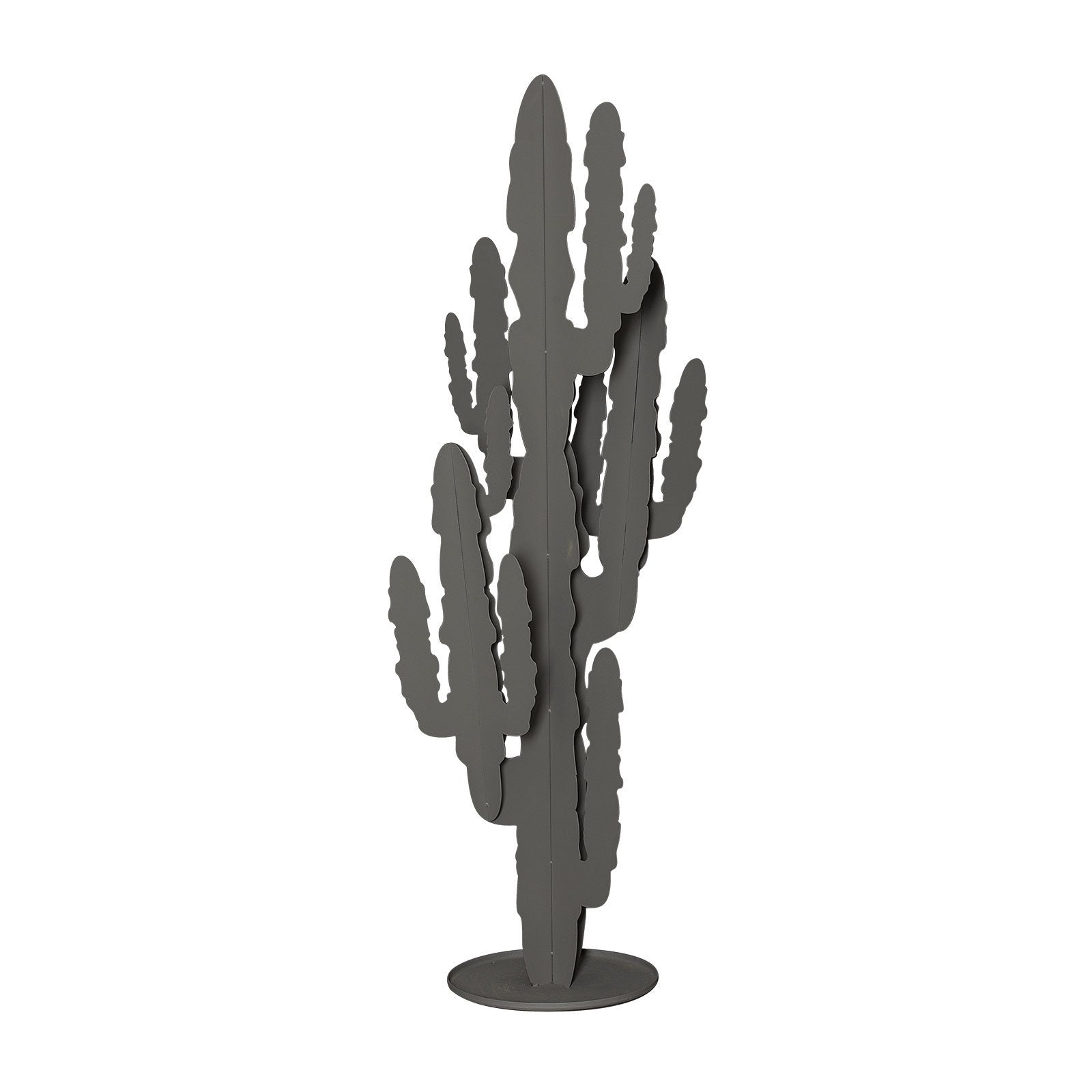 Pianta “CACTUS” - BIONDI HOME