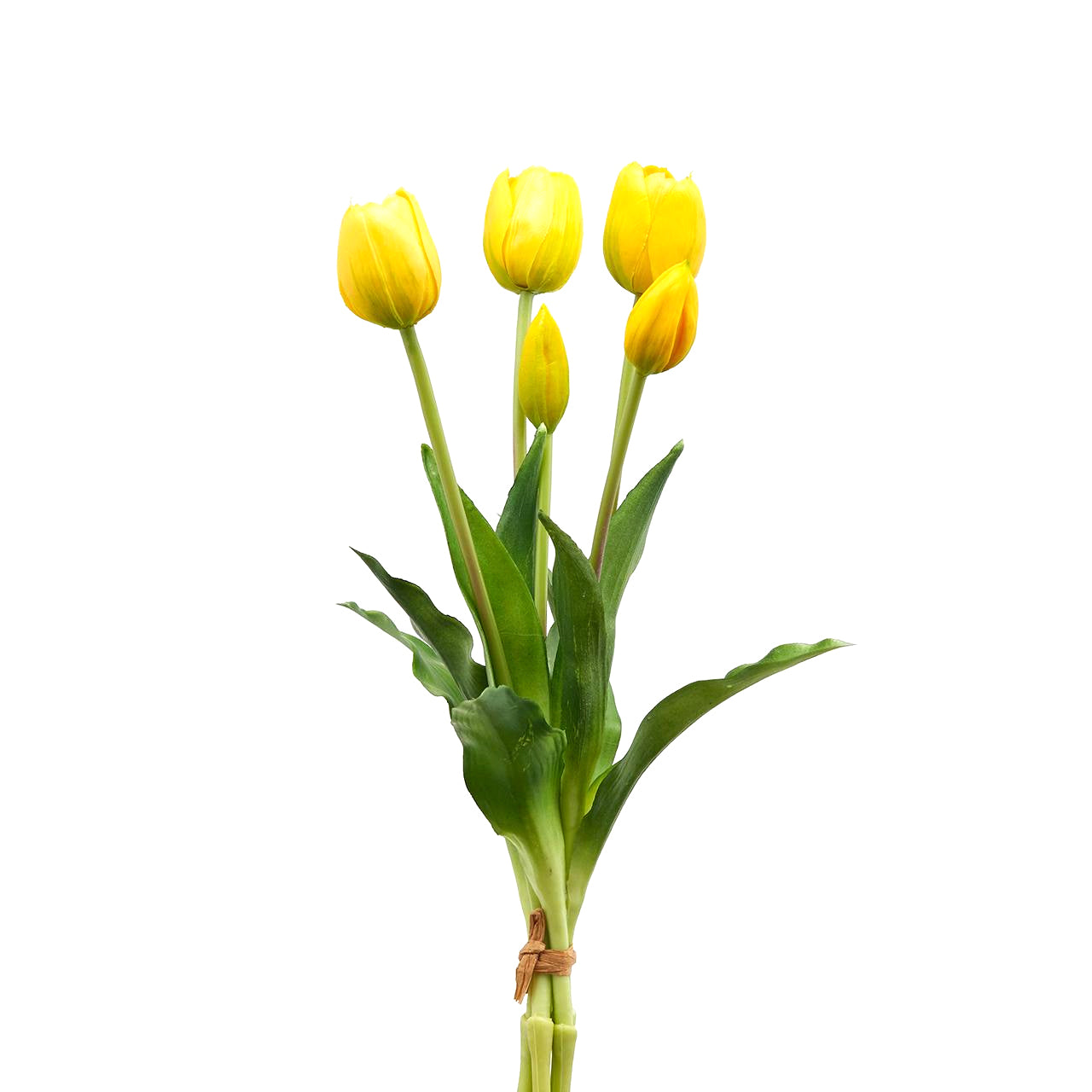 Mazzo “TULIPANI” - BIONDI HOME