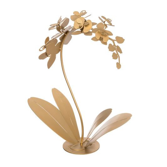 Pianta “ORCHIDEA” - BIONDI HOME
