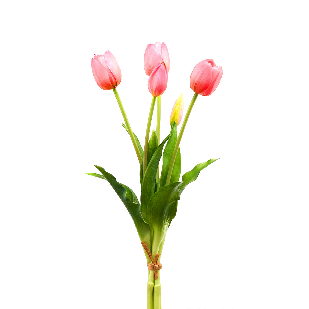 Mazzo “TULIPANI” - BIONDI HOME