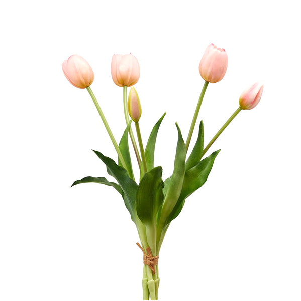 Mazzo “TULIPANI” - BIONDI HOME