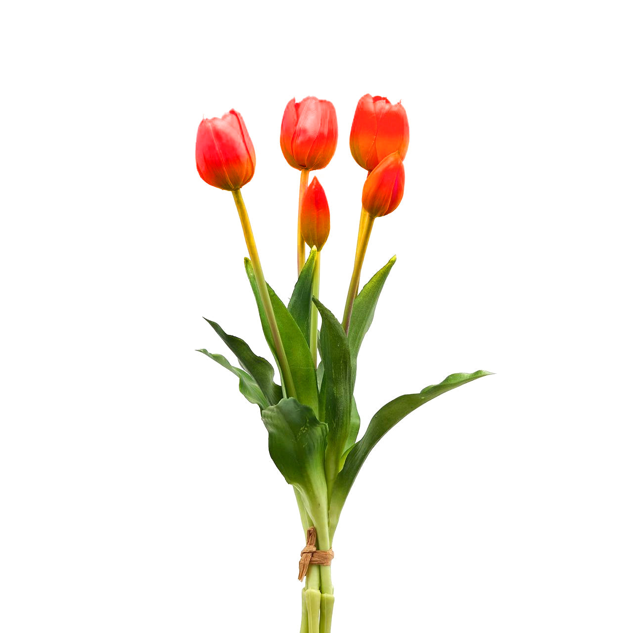 Mazzo “TULIPANI”