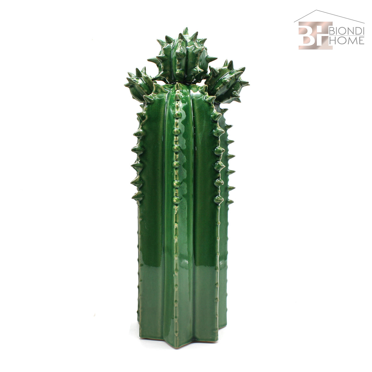 “CACTUS SPINOSO” - BIONDI HOME