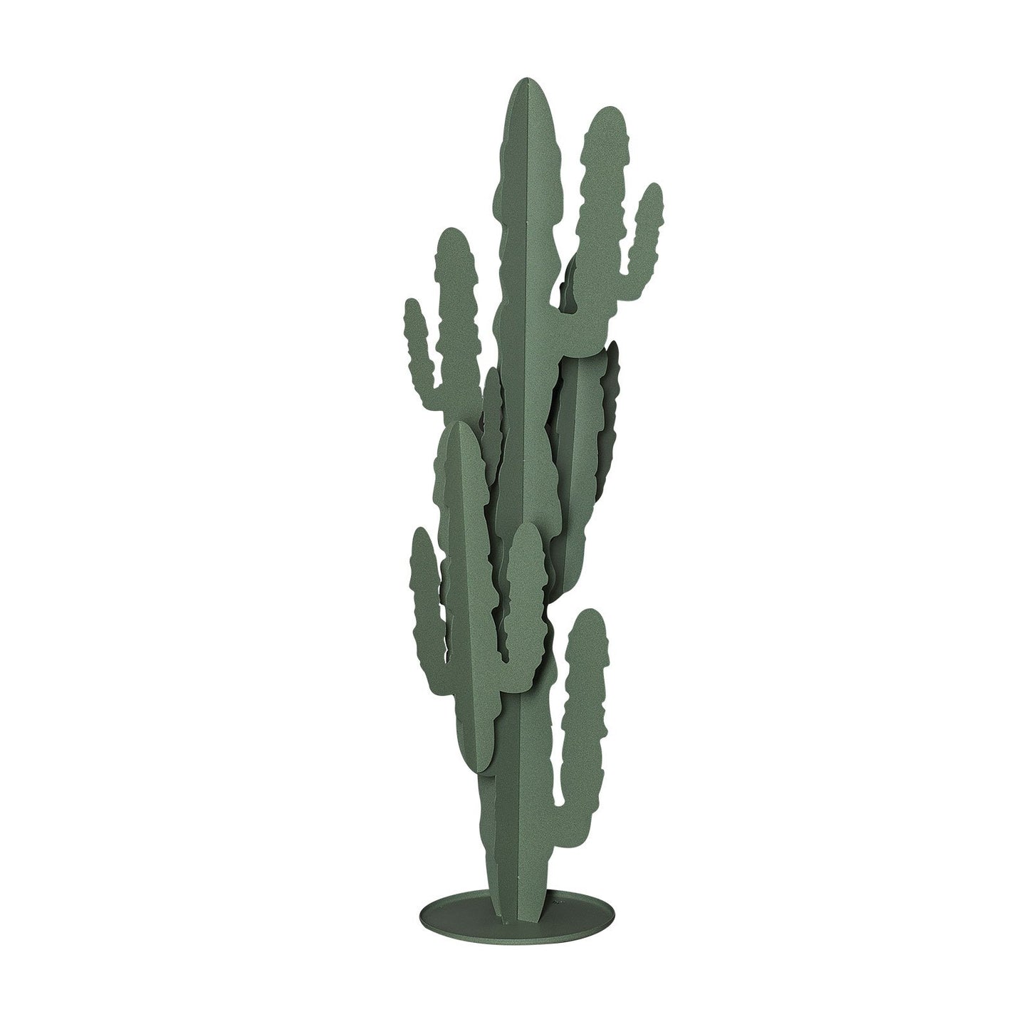 Pianta “CACTUS” - BIONDI HOME