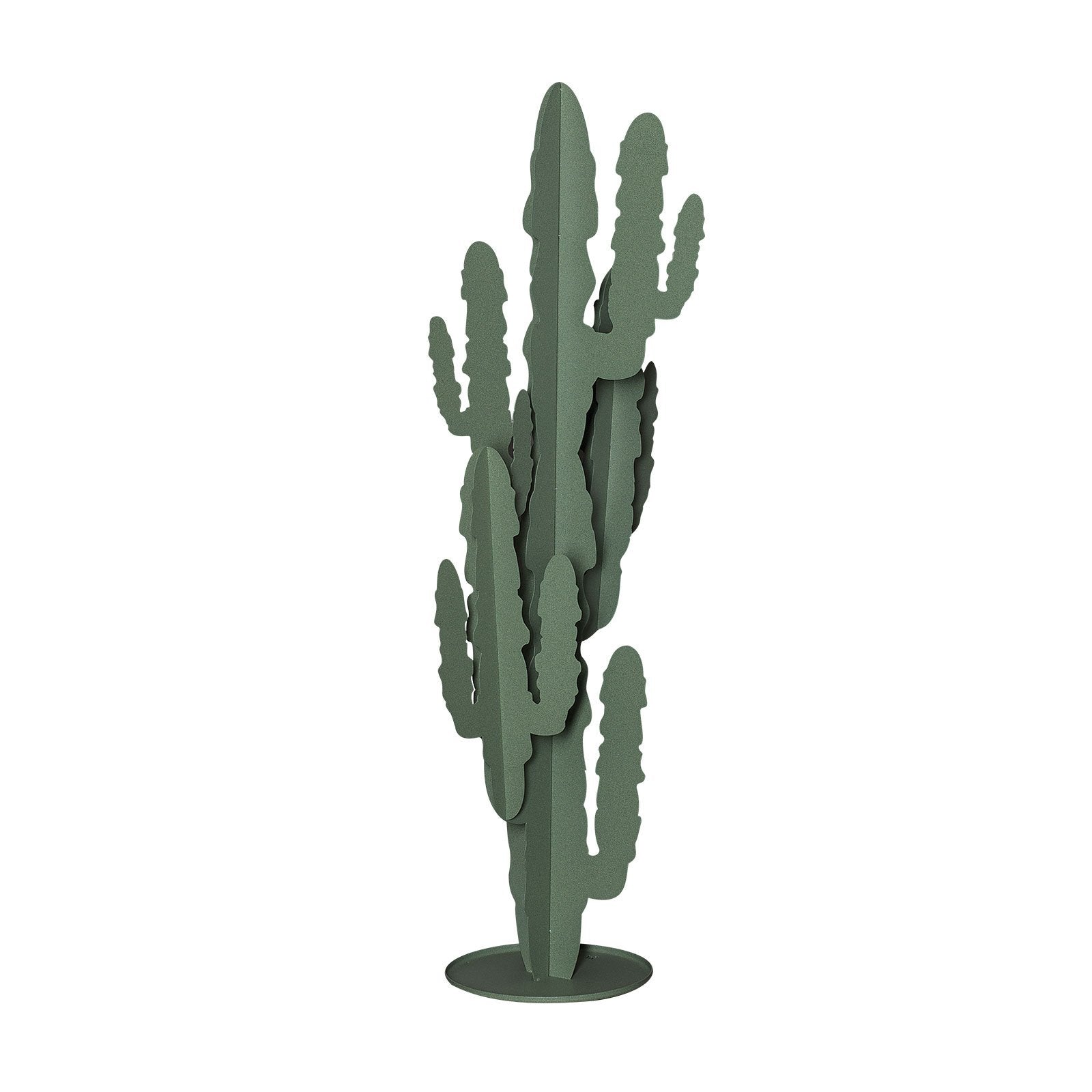 Pianta “CACTUS” - BIONDI HOME