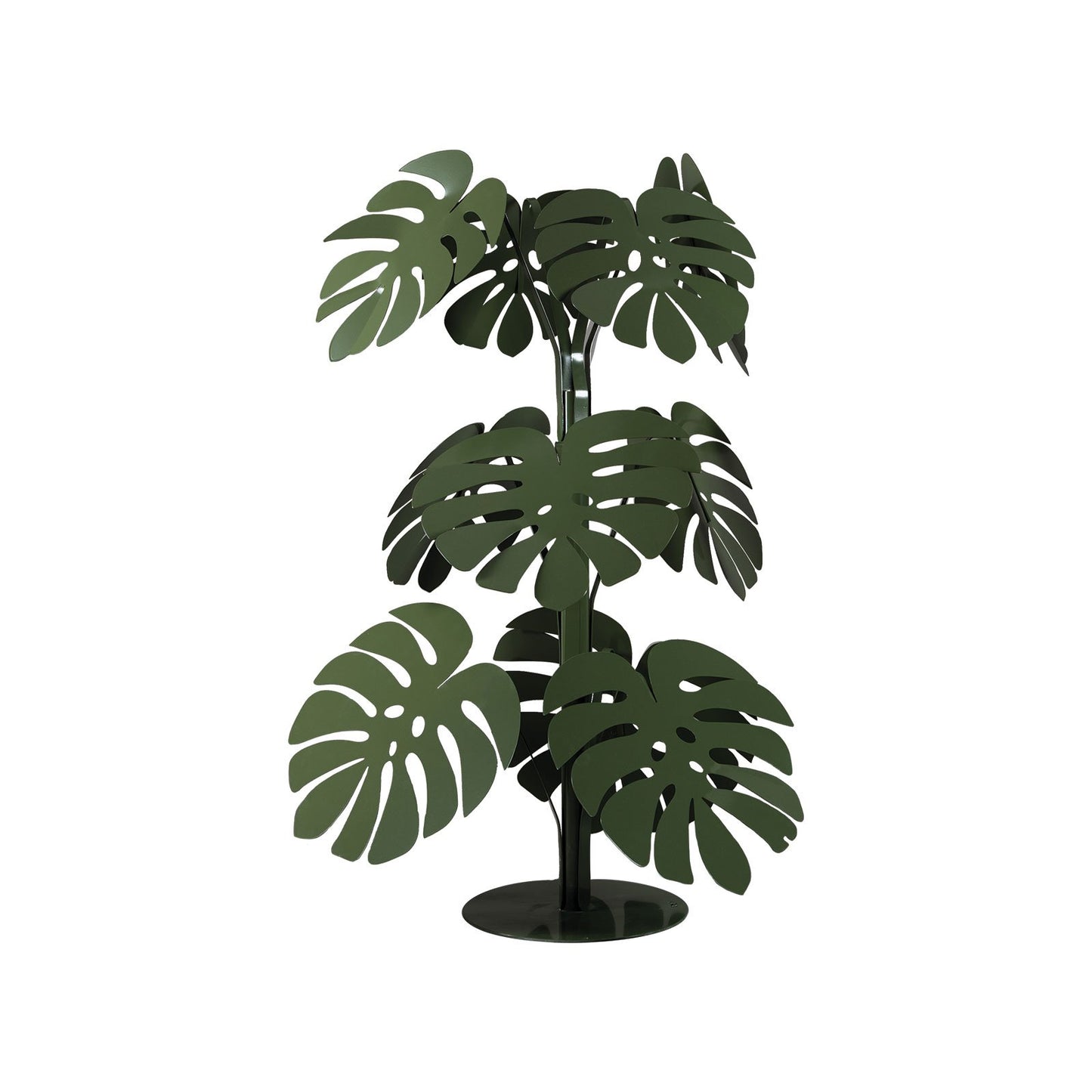 Pianta “MONSTERA” - BIONDI HOME