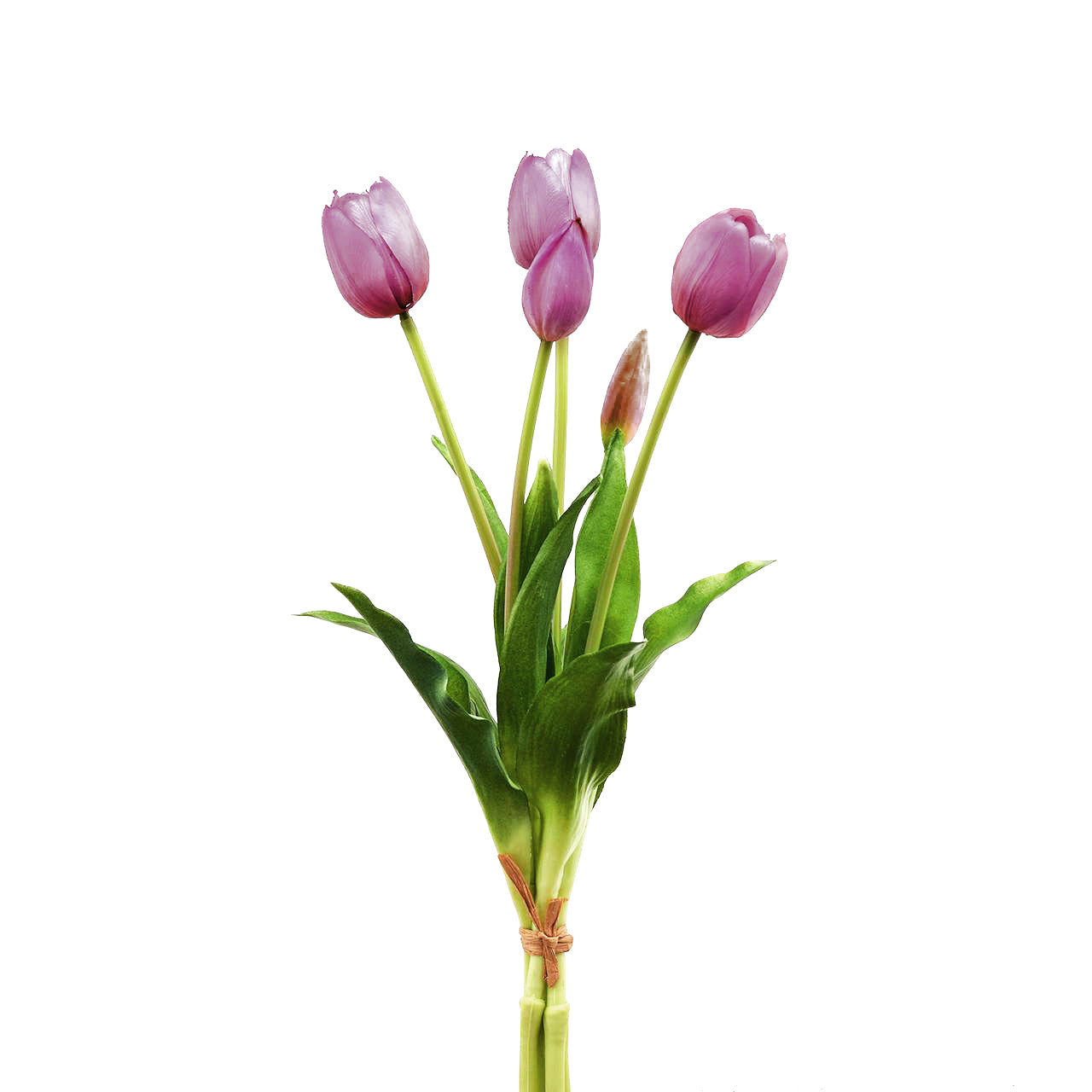 Mazzo “TULIPANI” - BIONDI HOME