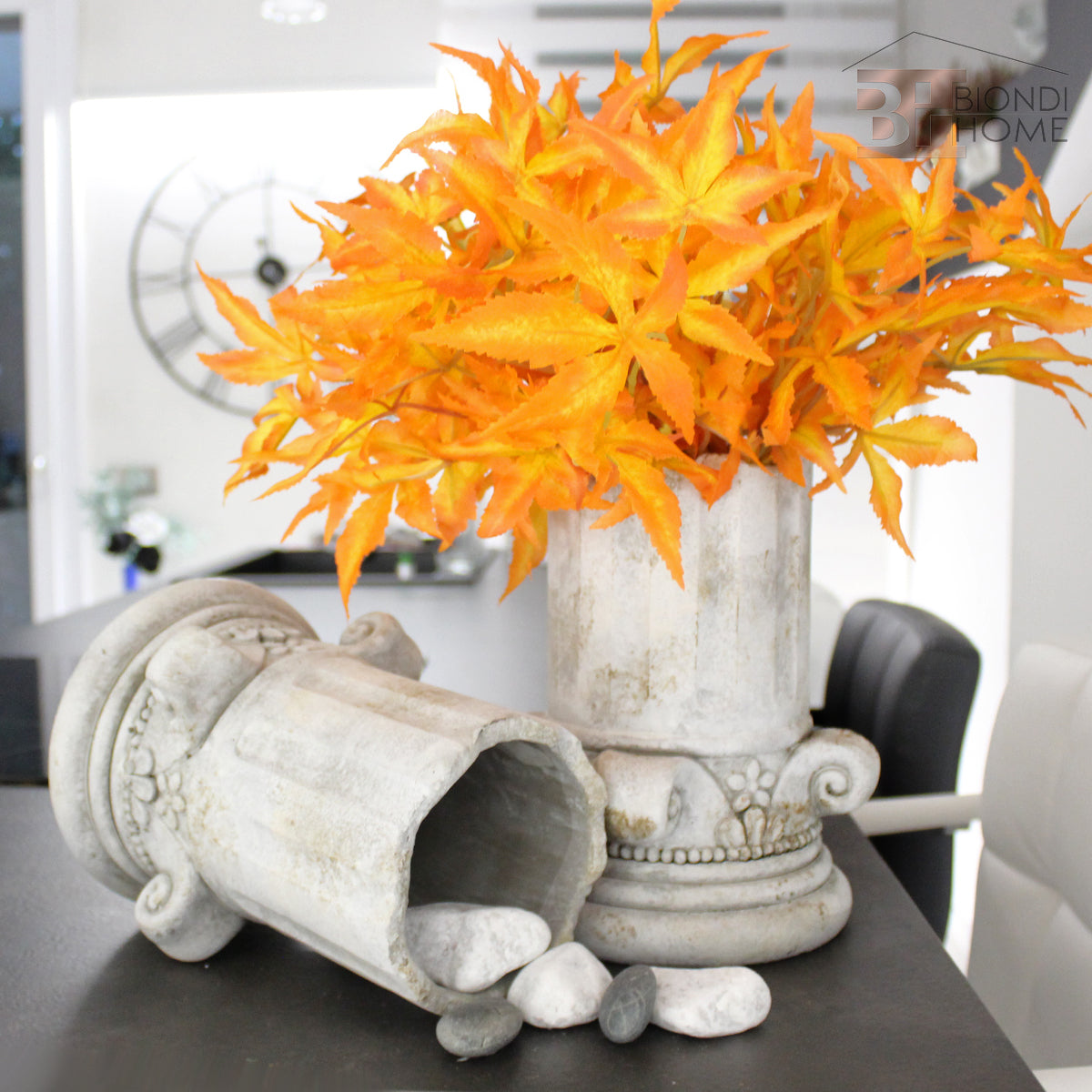 Pianta “ACERO GIAPPONESE” - BIONDI HOME